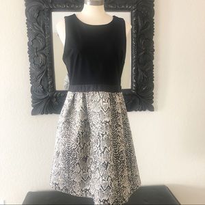 Donna Rico: snake skin fit and flare dress